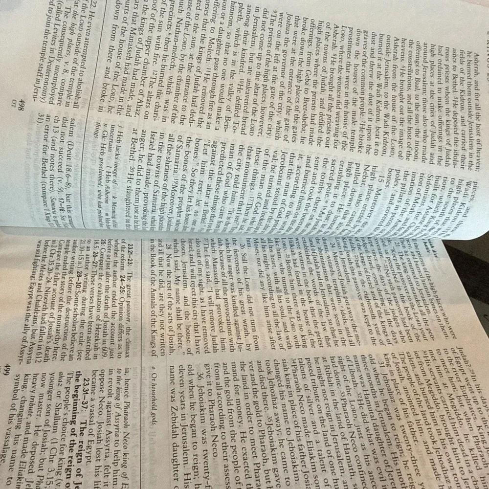 The New Oxford Annotated Bible with the Apocrypha: New Revised Standard NRSV